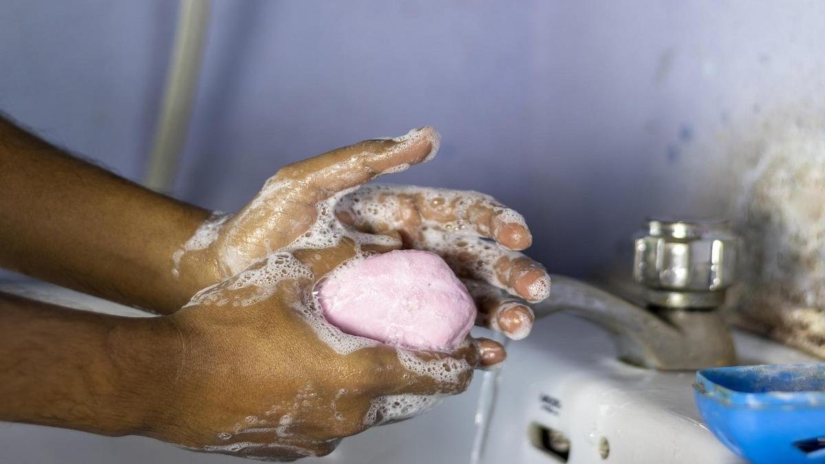 habitos-saudaveis-praticos-para-melhorar-seu-dia-a-dia